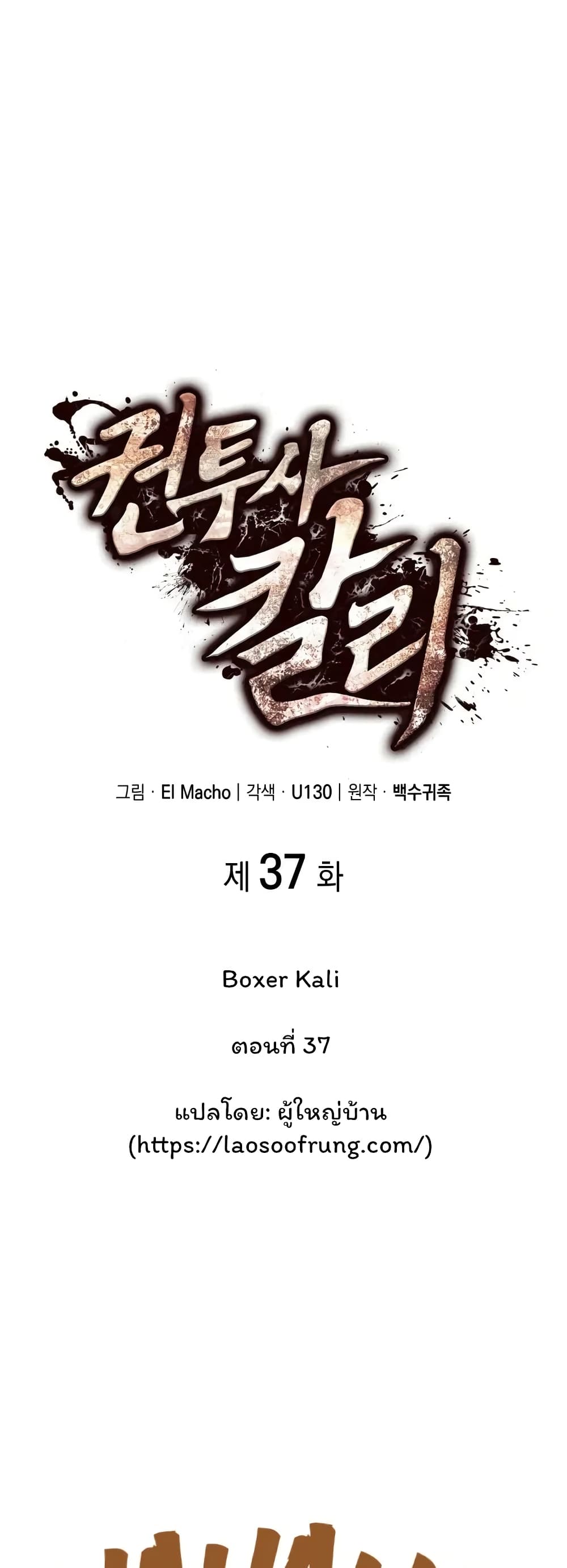 Boxer Kali 37-37