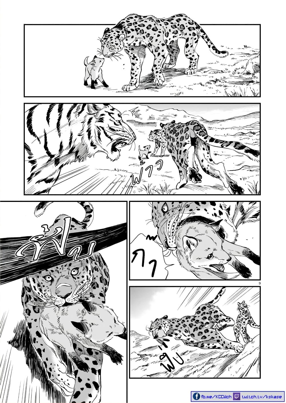 Tora ha Ryuu wo mada Tabenai โตเมื่อไร จับหม่ำ 9-จิ้งจอกกับเสือดาว