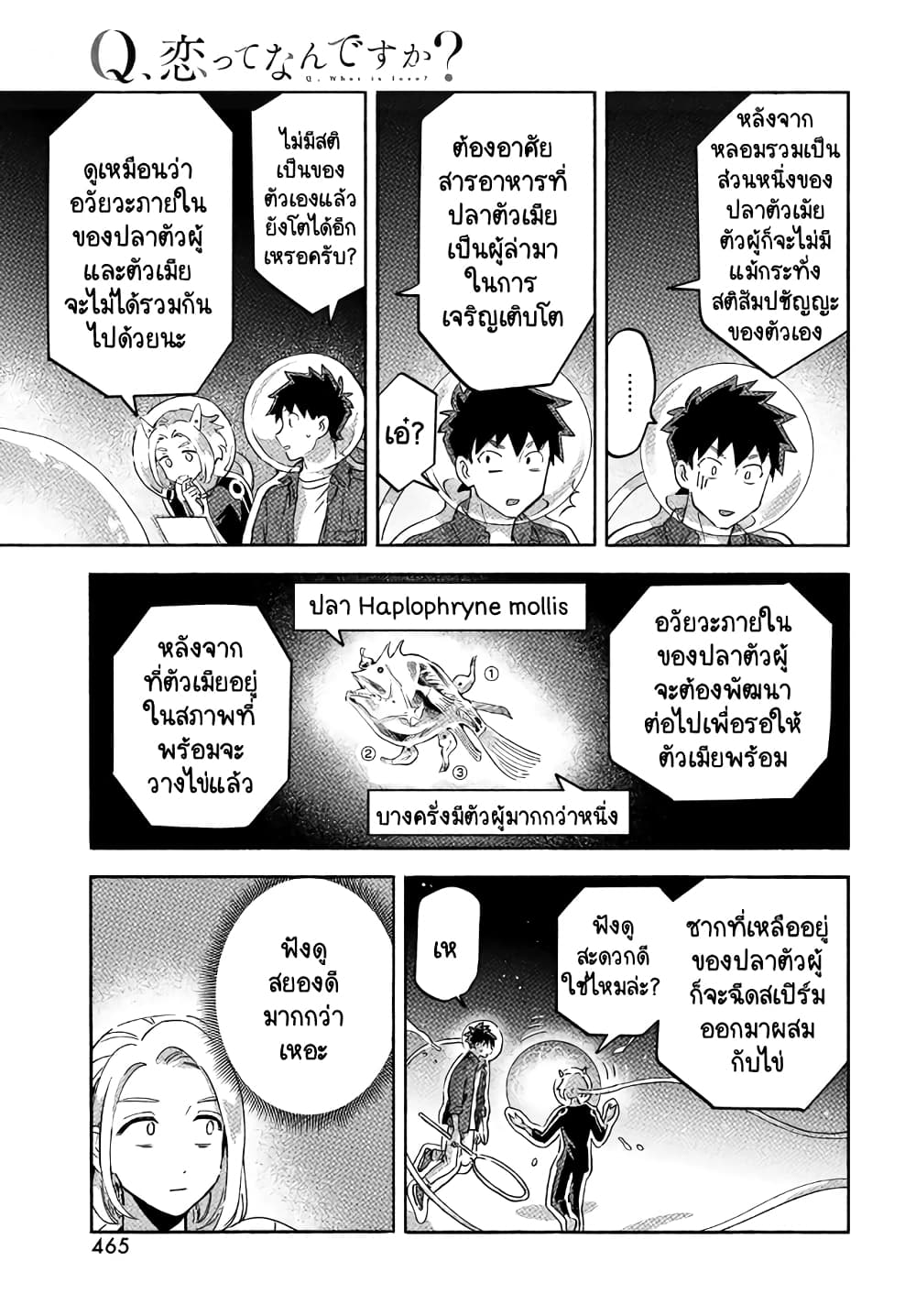 Q Koitte Nandesuka? 11-Caulophryne pelagica