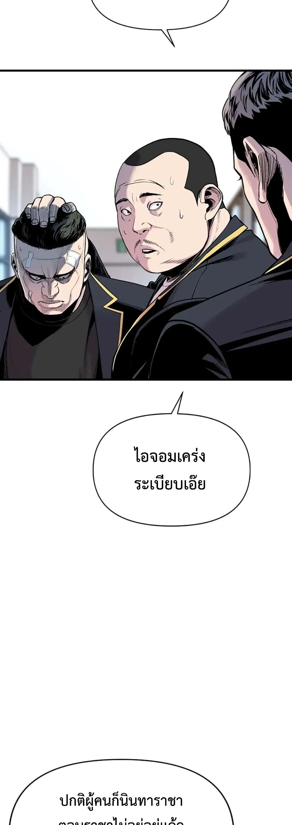 Switch 12-12