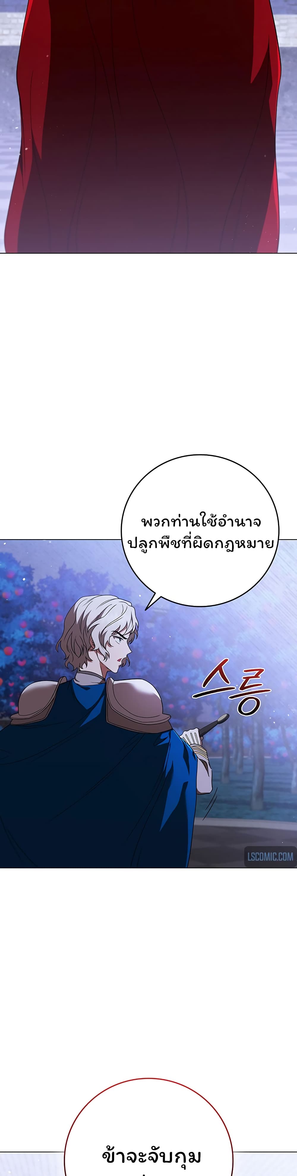Dragon Lady 44-44