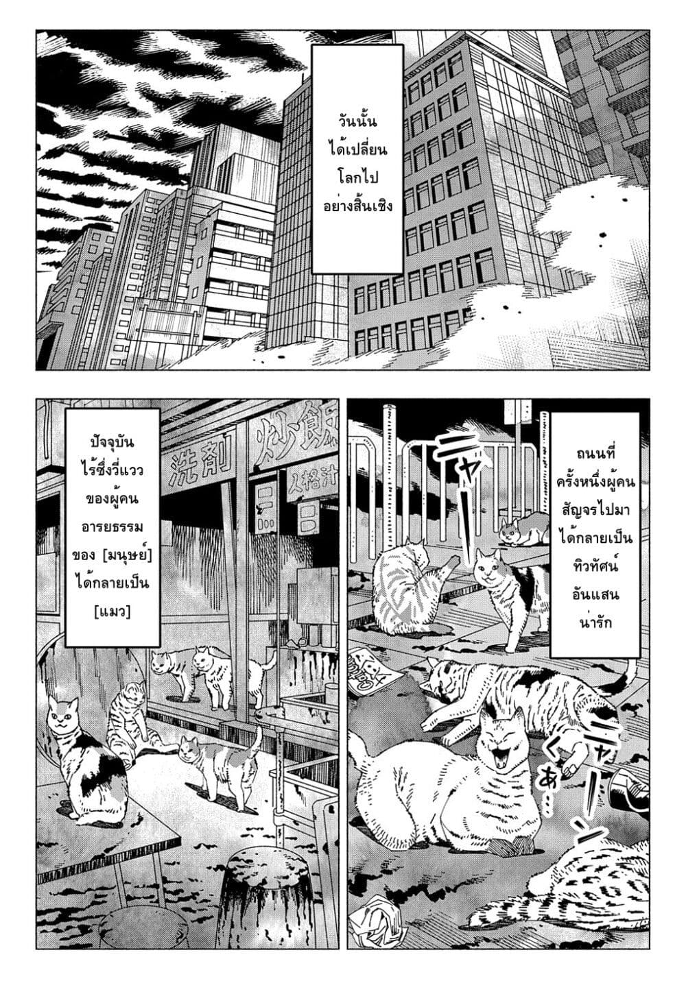 Nyaight of the Living Cat ซอมบี้เหมียวครองโลก! 6.4-แมวคือราชาของโลกที่ไร้เมตตา (ภาคปลาย[2])
