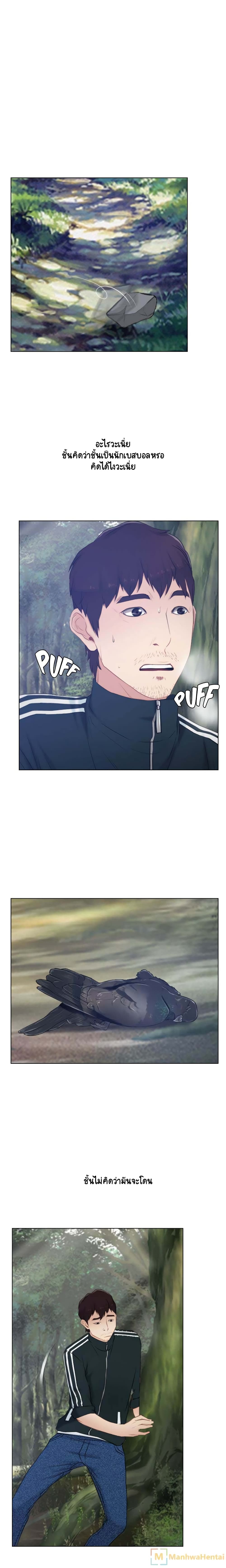 First Love 3-3