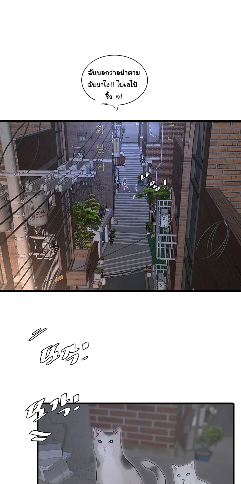 The Hole Diary 7-7