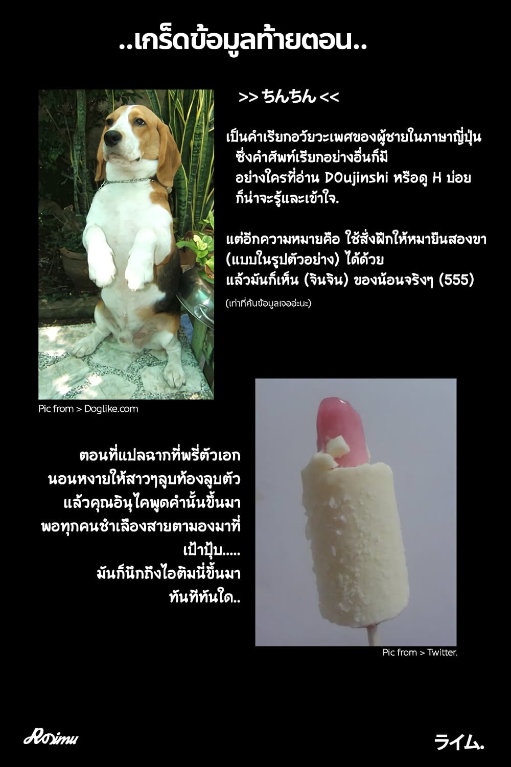 Inu ni Nattara Sukina Hito ni Hirowareta 12-จินจิน