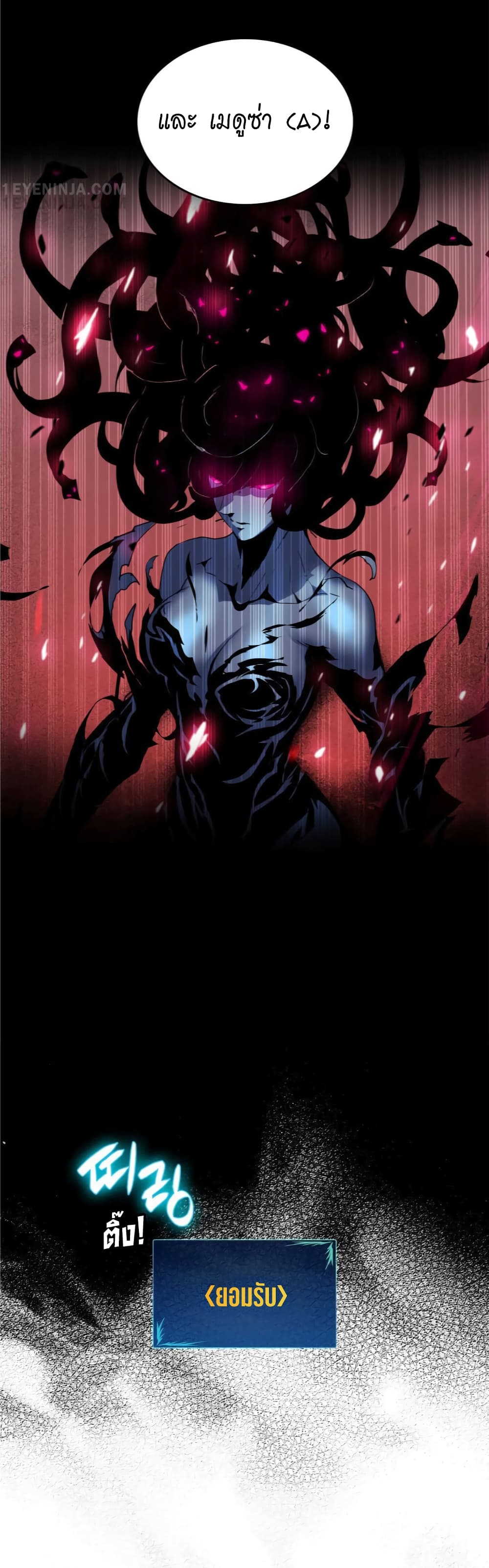 Worn and Torn Newbie 16-16