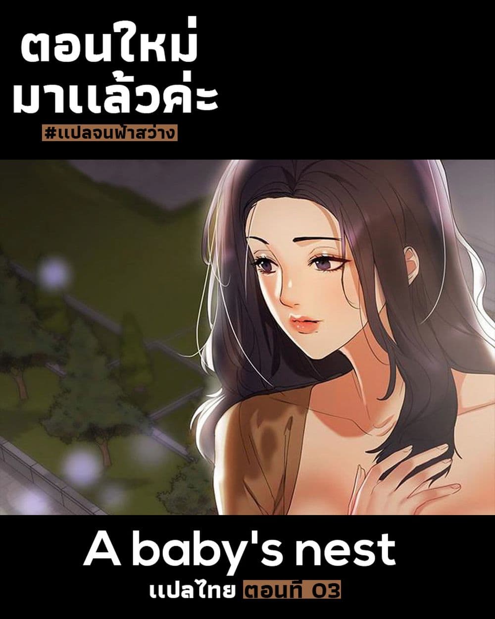 A Baby's Nest 3-3