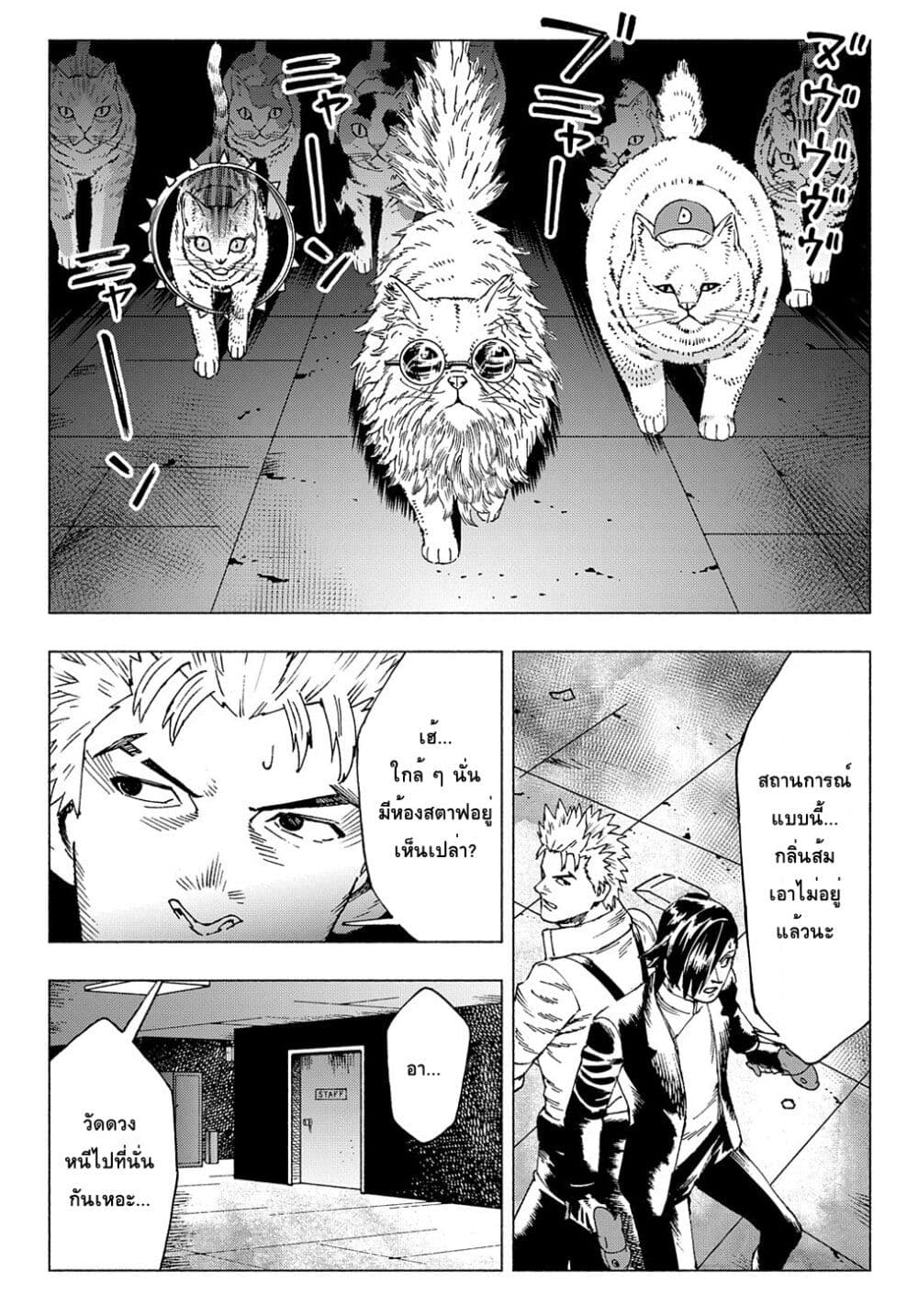 Nyaight of the Living Cat ซอมบี้เหมียวครองโลก! 8.3-Cat Rising (ภาคปลาย)