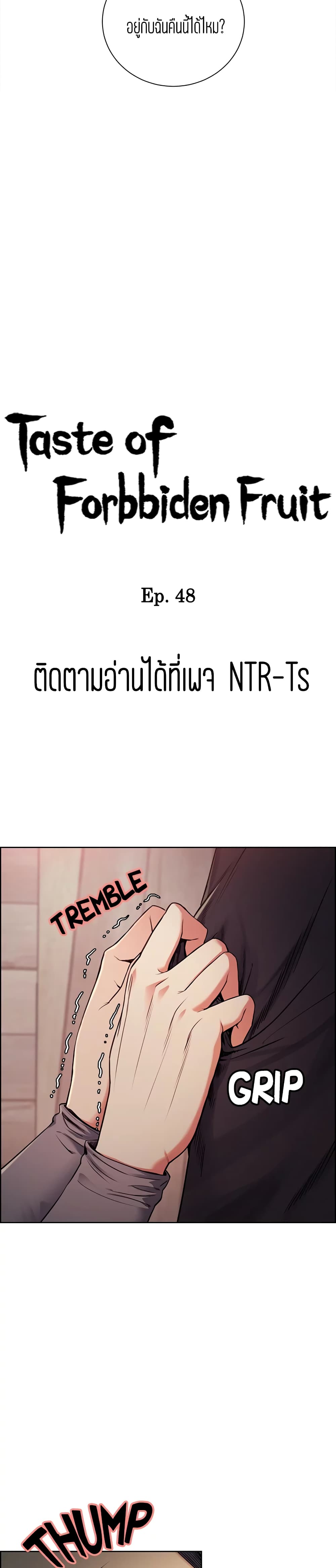 Steal Taste 48-48