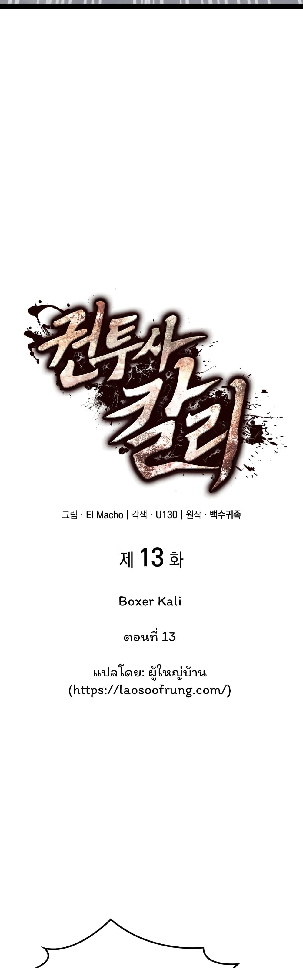 Boxer Kali 13-13