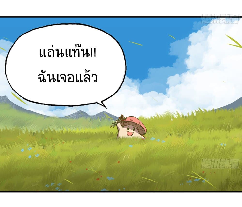 Mushroom Brave 13-13