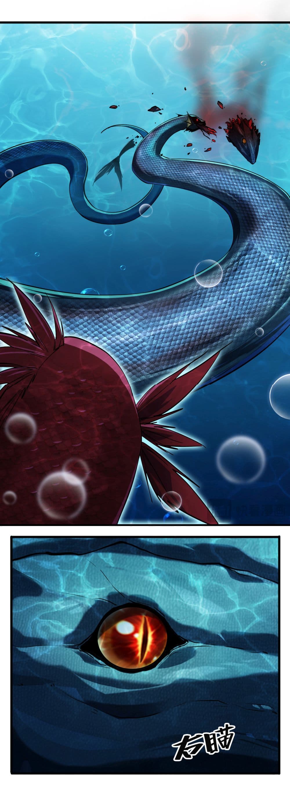 Start evolution from koi to dragon 4-4