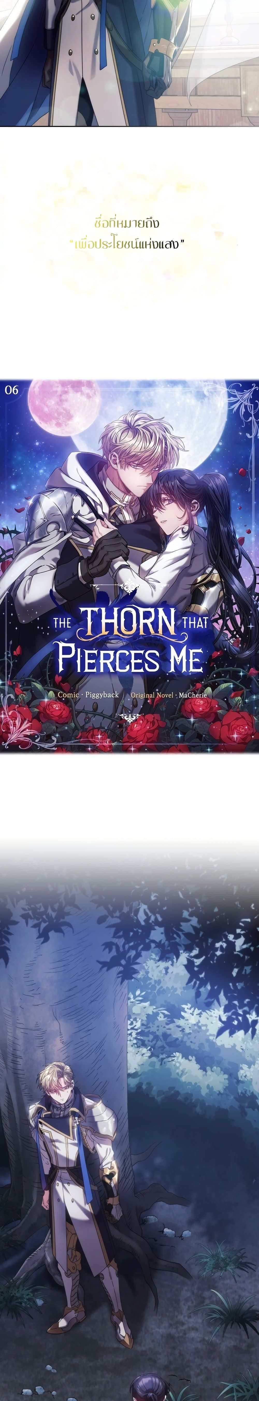 The Thorn That Pierces Me 6-6
