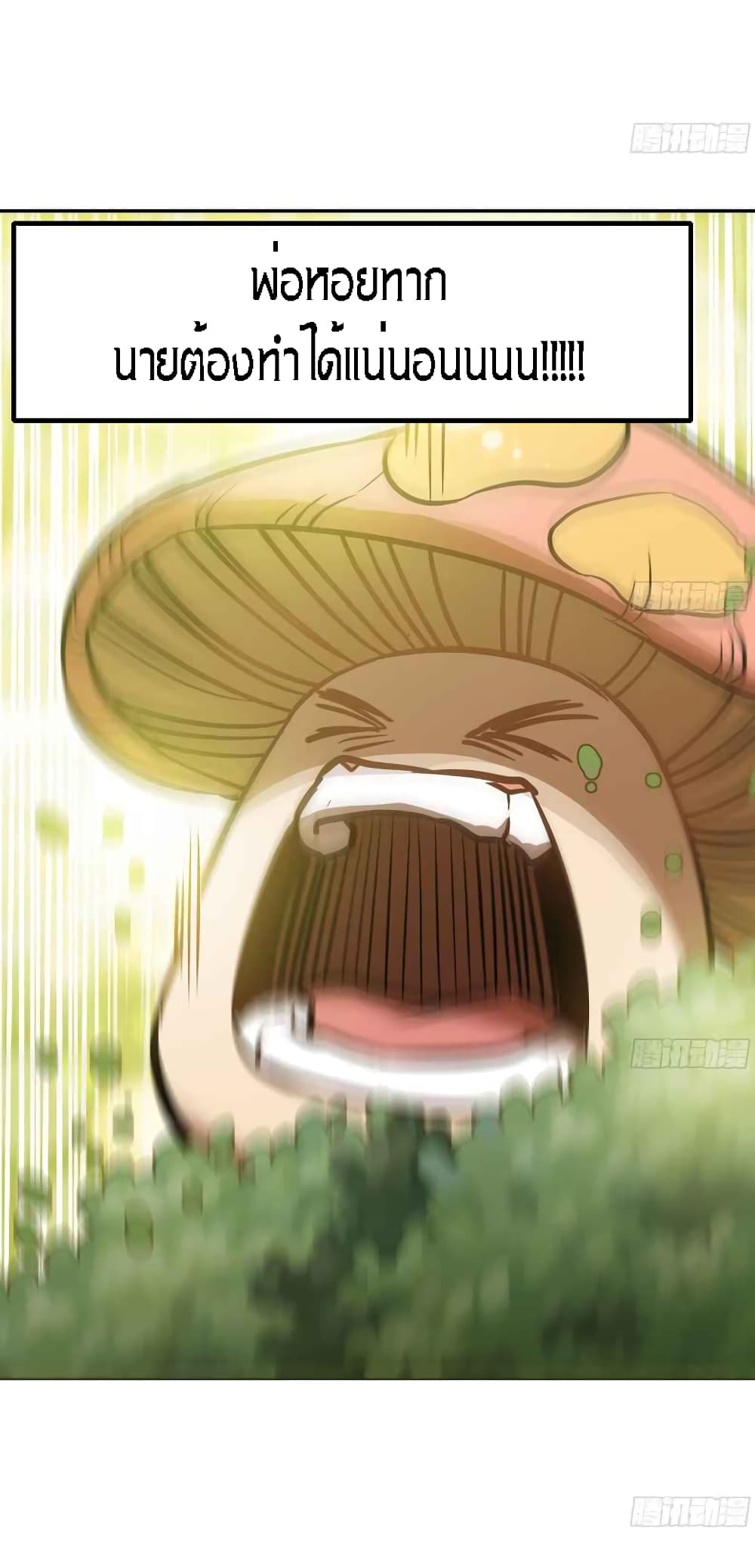 Mushroom Brave 3-3