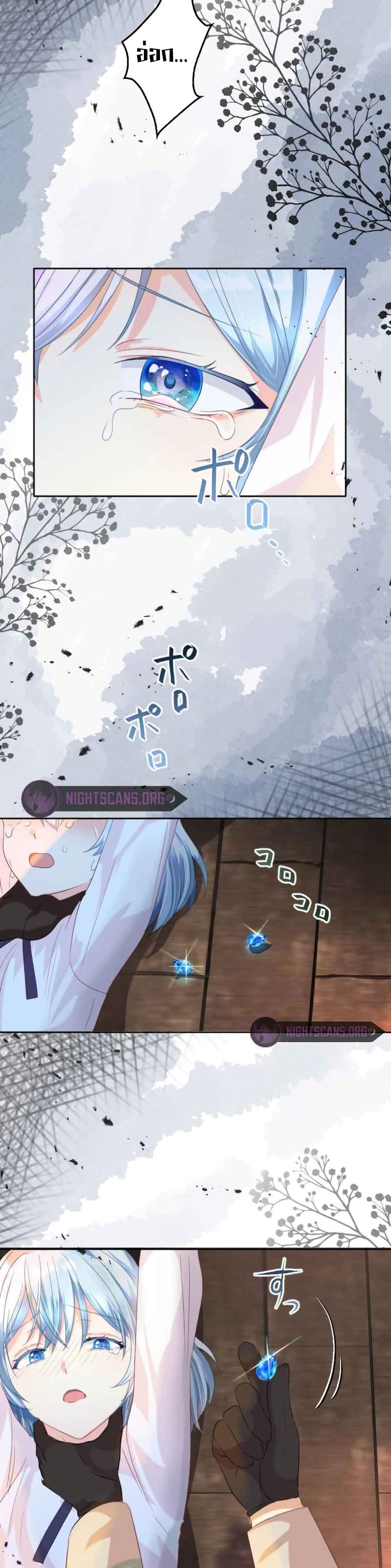 The Precious Girl Does Not Shed Tears 12-12