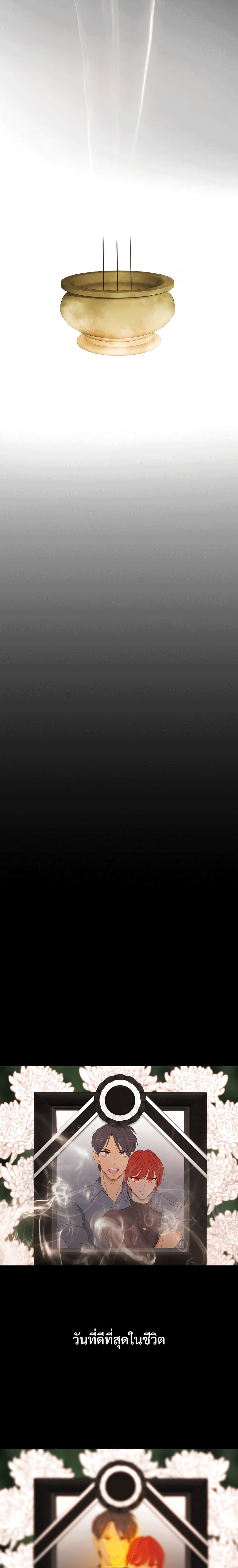 XTen 1-1