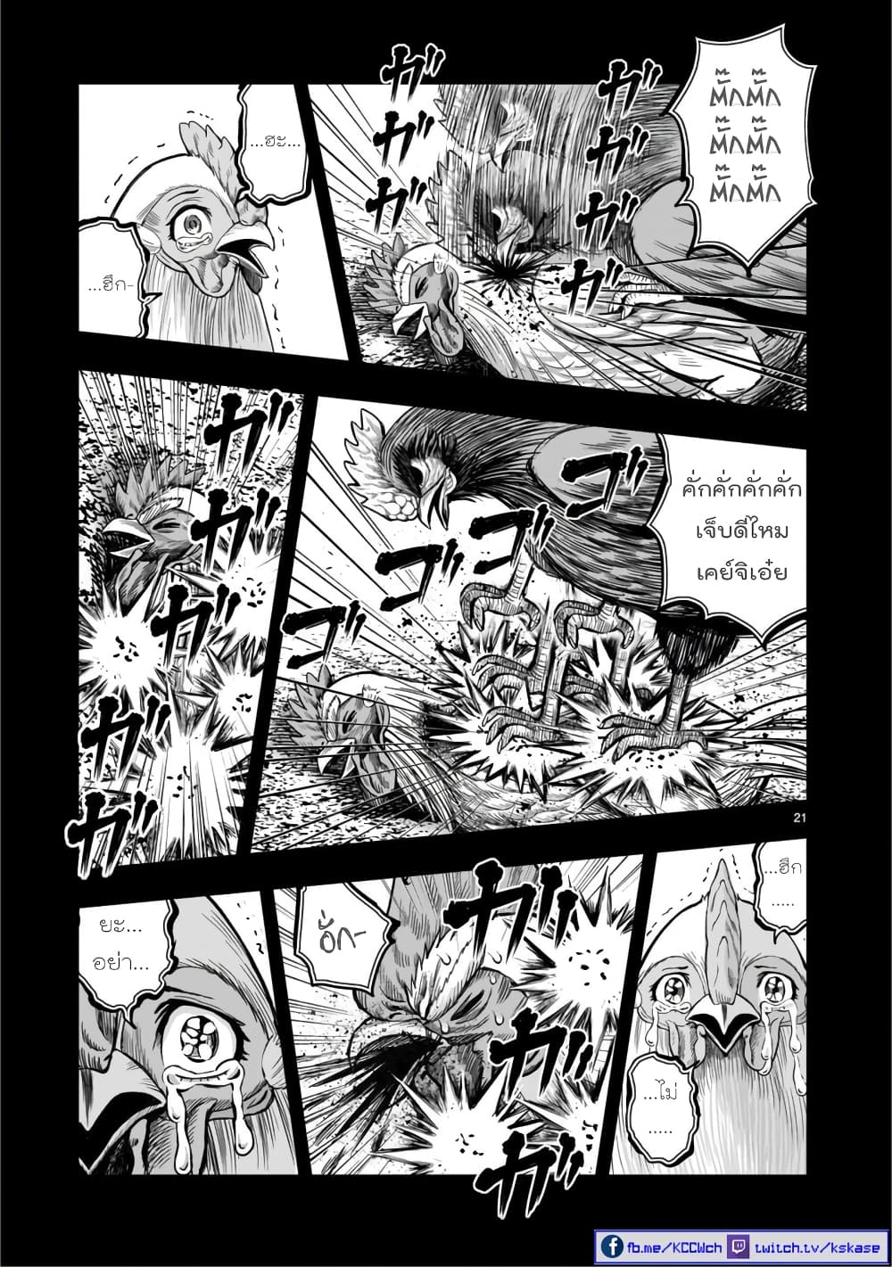 Rooster Fighter ป๋าโต้งชนยับ 11-พอล่าไก่เสร็จ ธนูก็สิ้นค่า (คนที่คอยโหมงาน กลับถูกทิ้งในตอนจบ