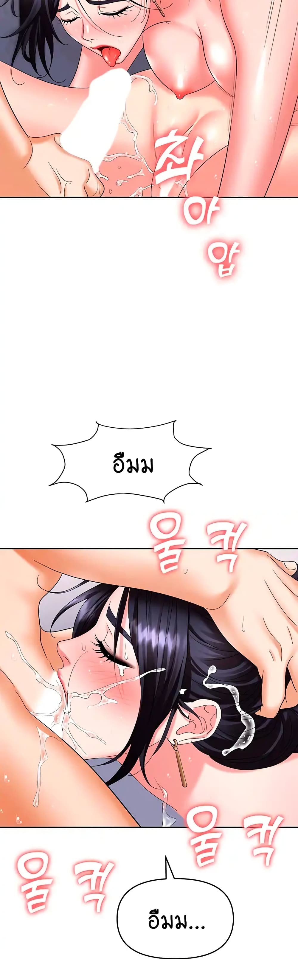 Trap 33-33