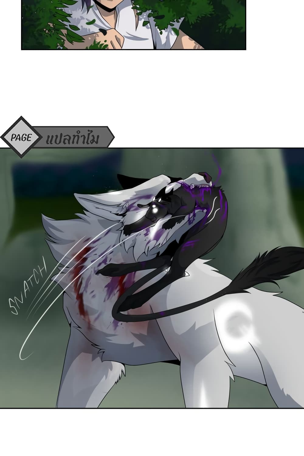 Lost Domain 8-8