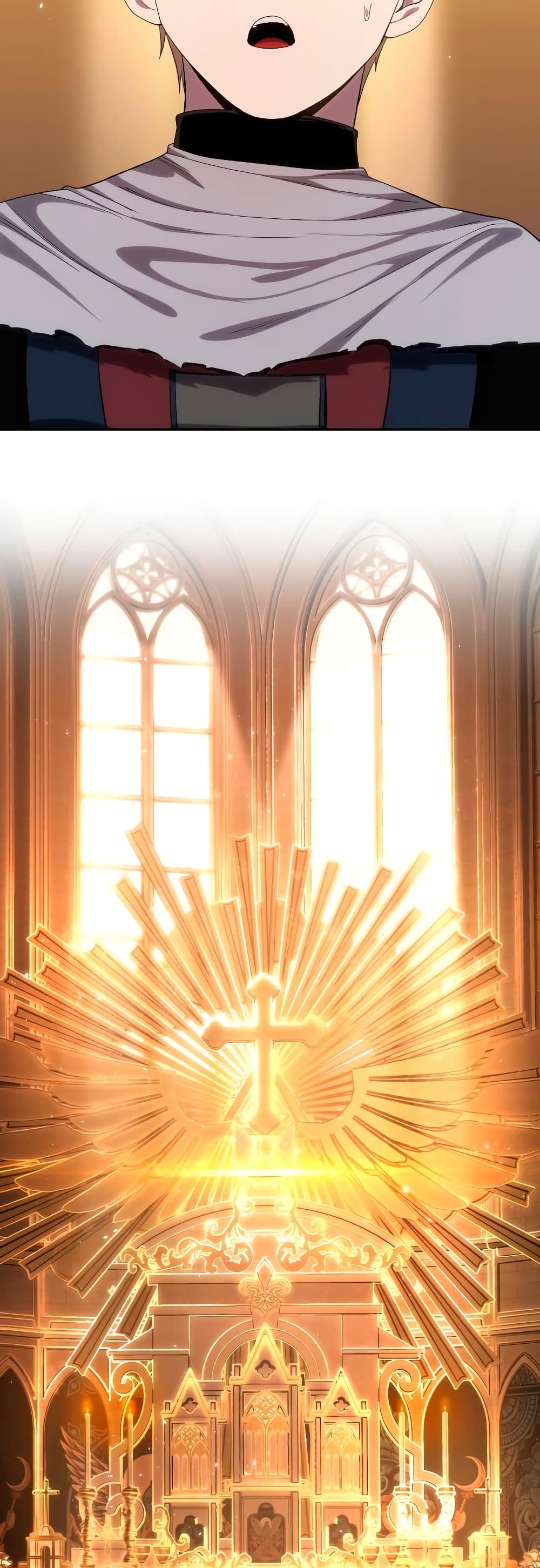 Star-Embracing Swordmaster 12-12