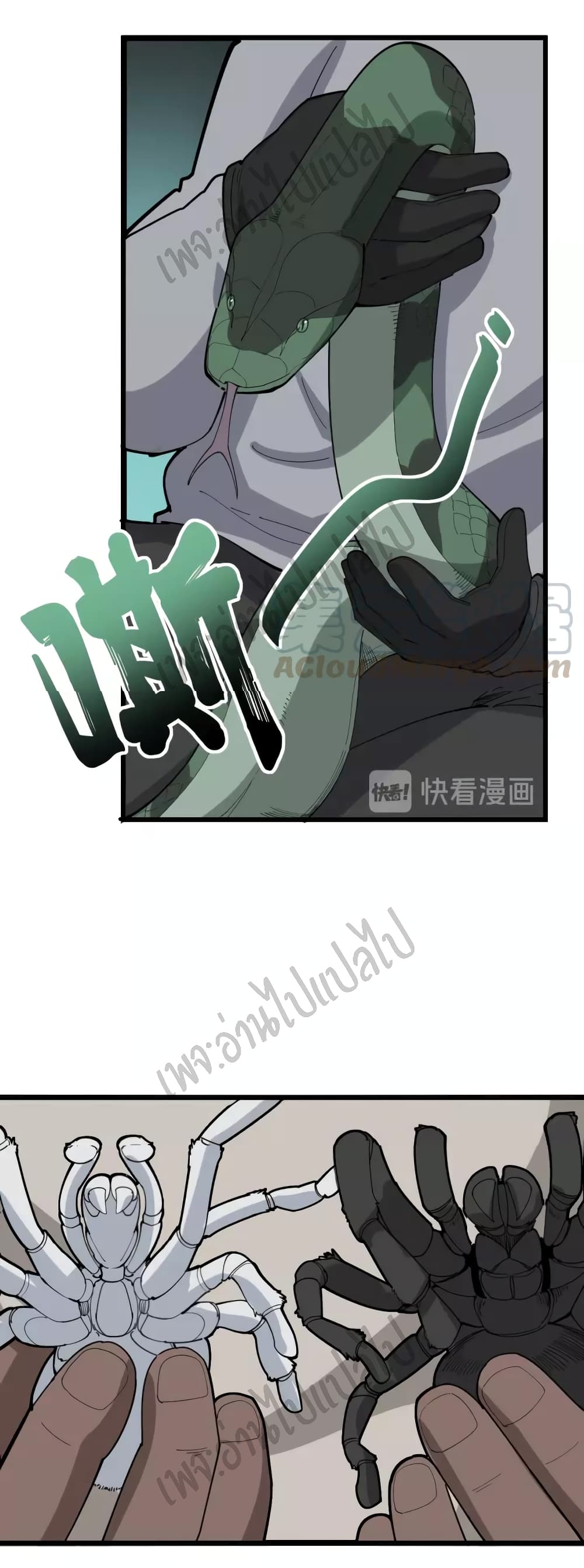 Bad Hand Witch Doctor 100-100