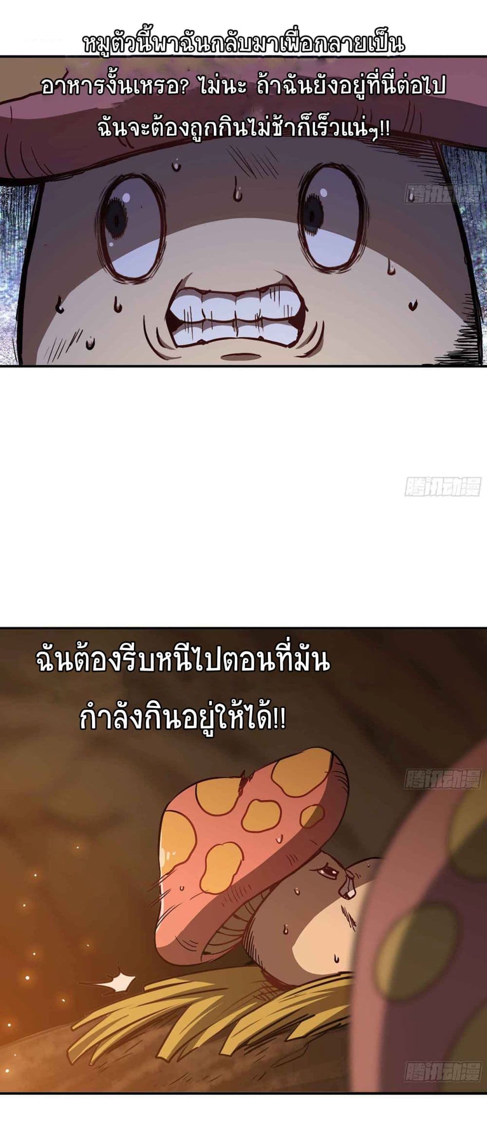 Mushroom Brave 9-9