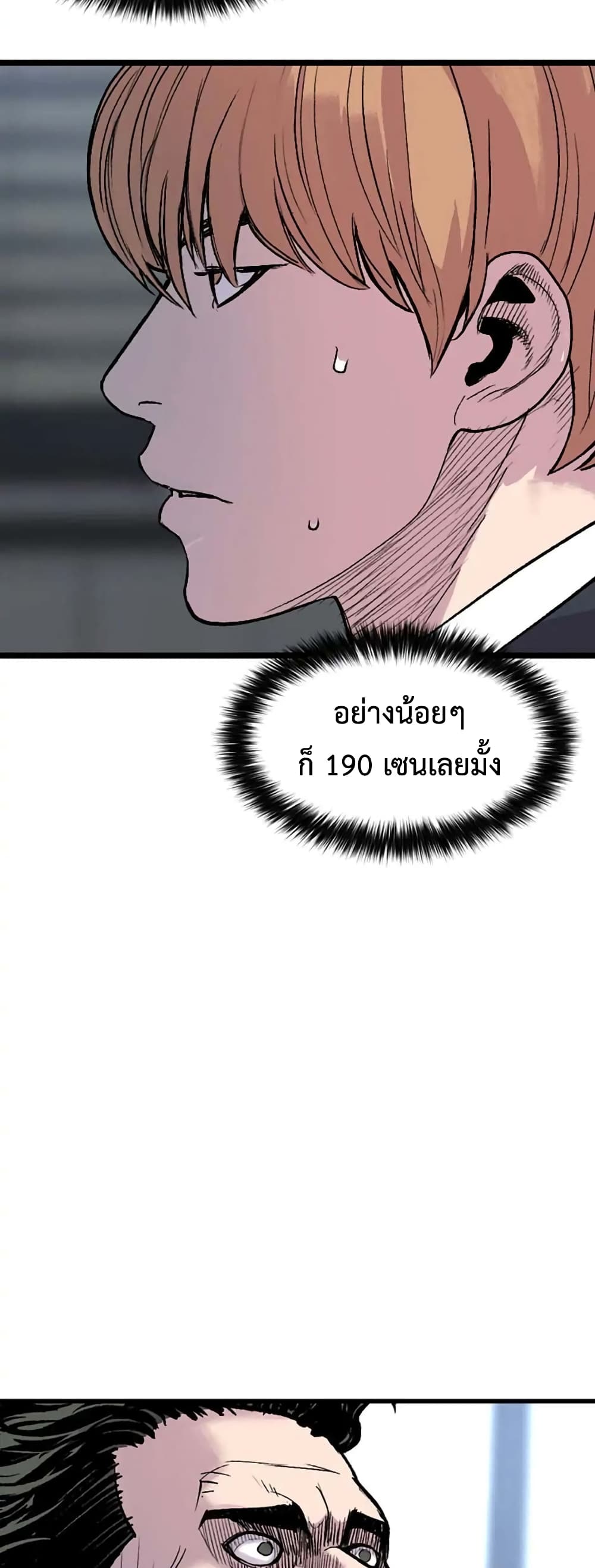 Switch 19-19
