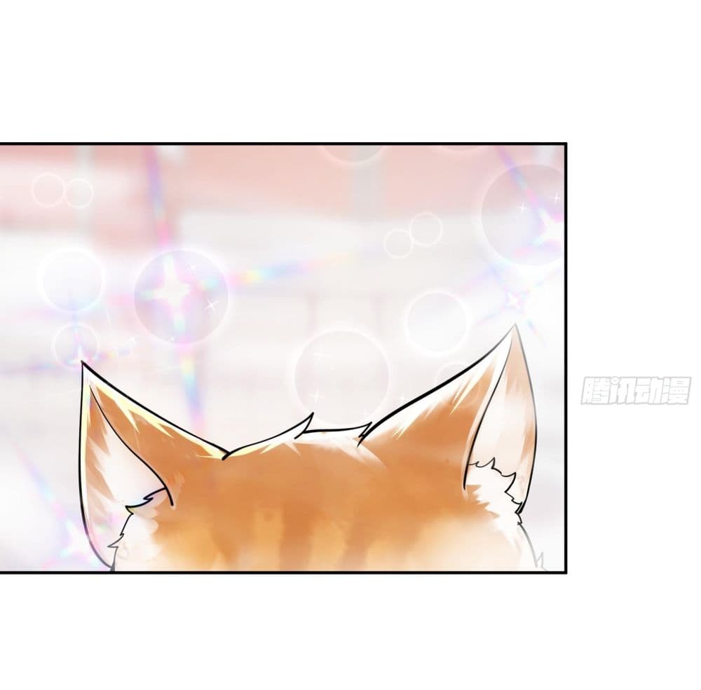 God-level Contract Start With a Cat 1-1