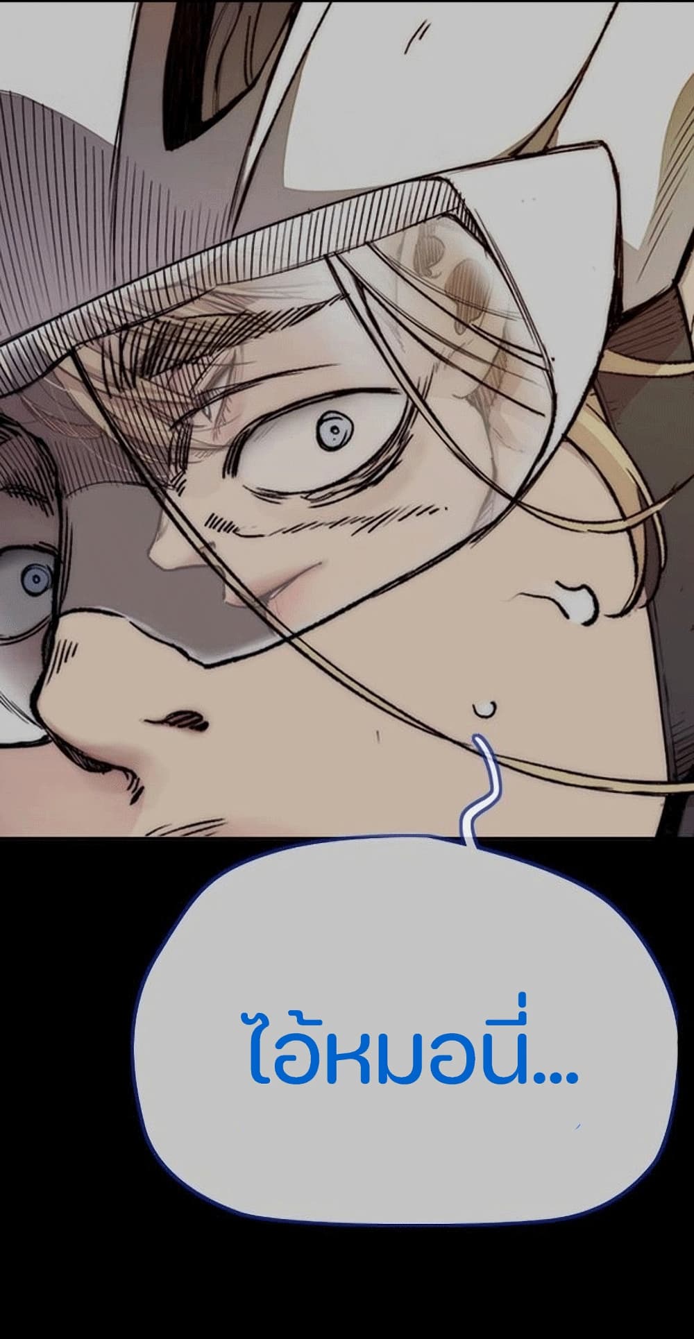 Windbreaker SS4 20-20