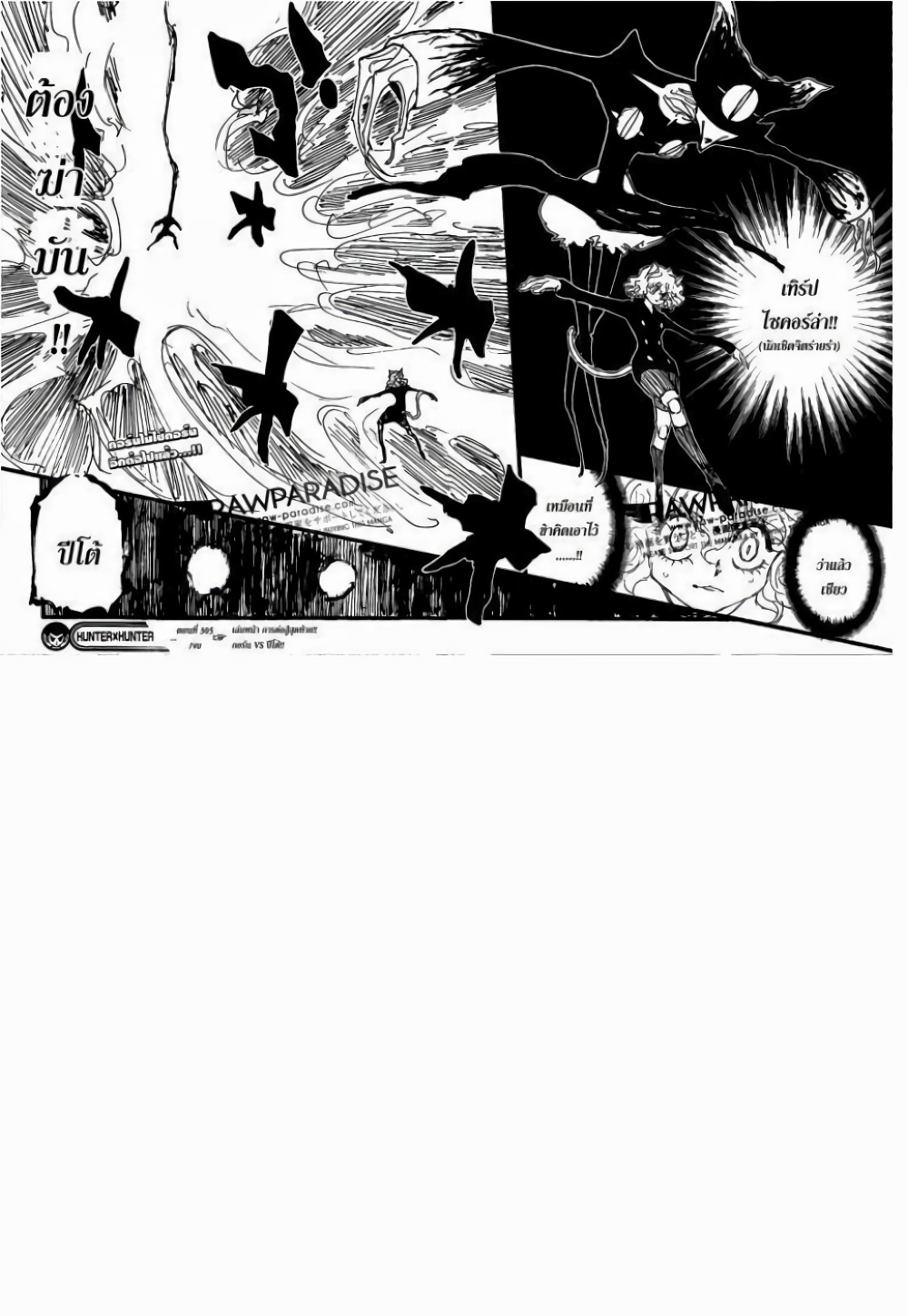 Hunter X Hunter 305-305