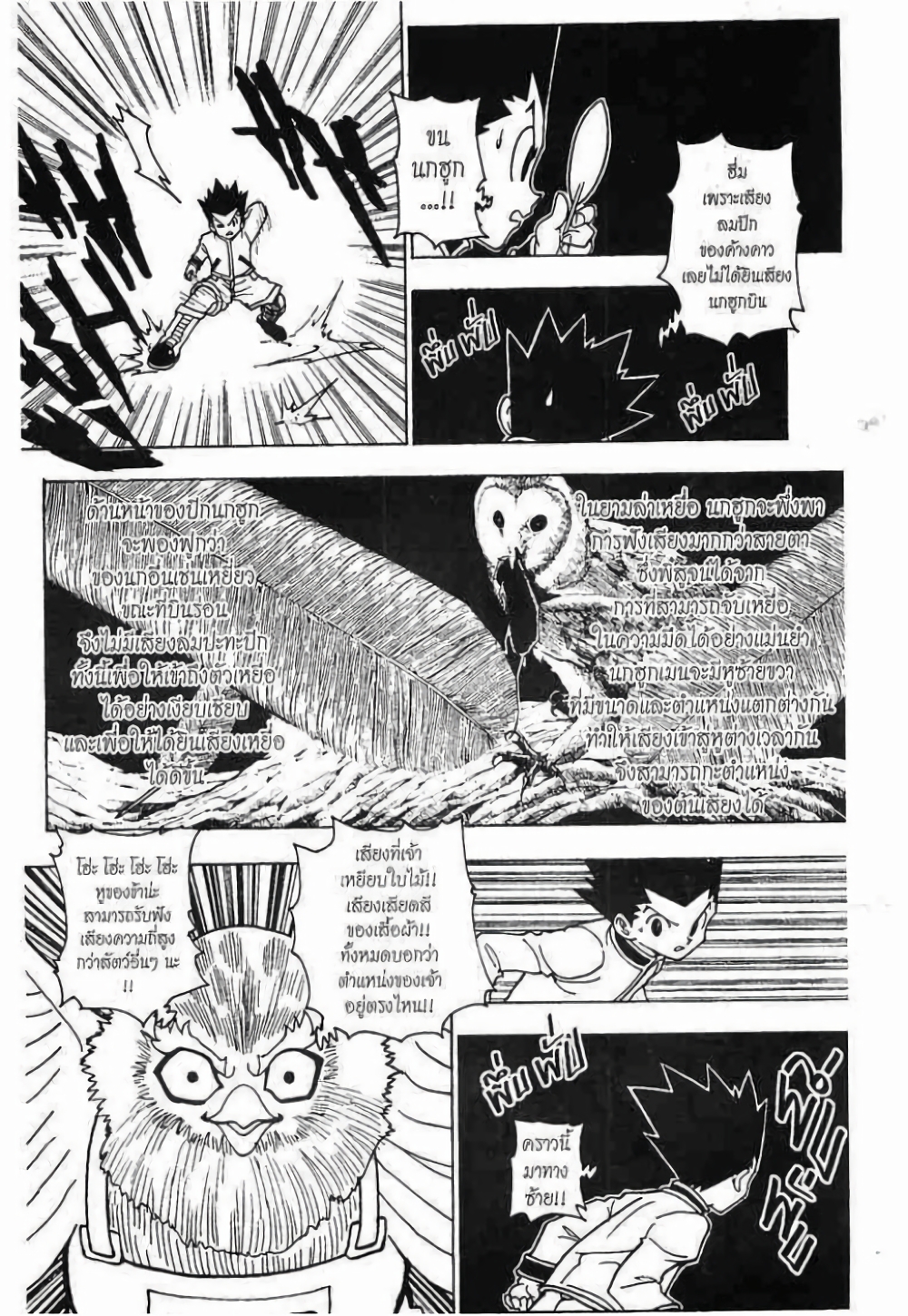 Hunter X Hunter 232-232