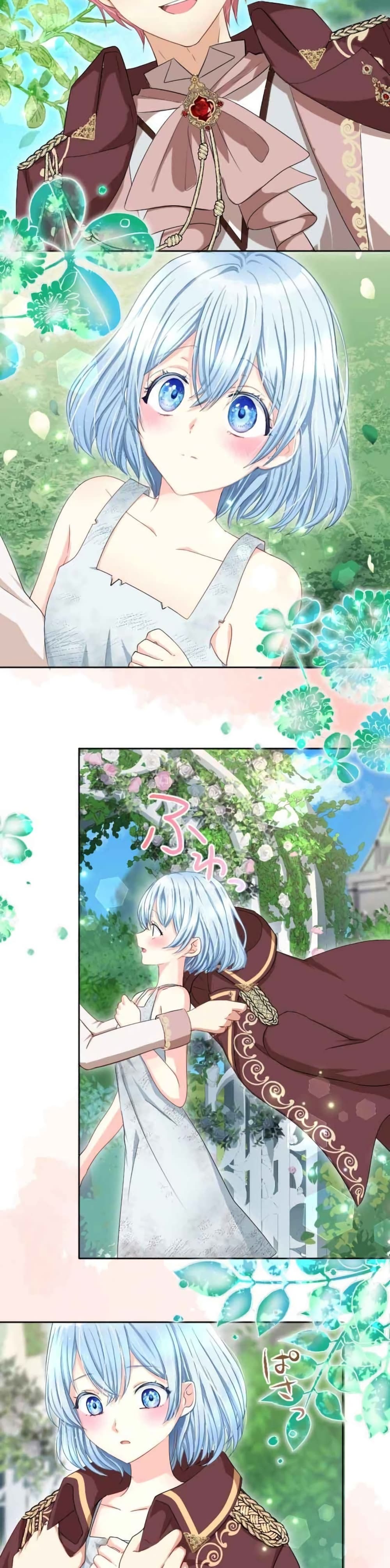 The Precious Girl Does Not Shed Tears 12-12