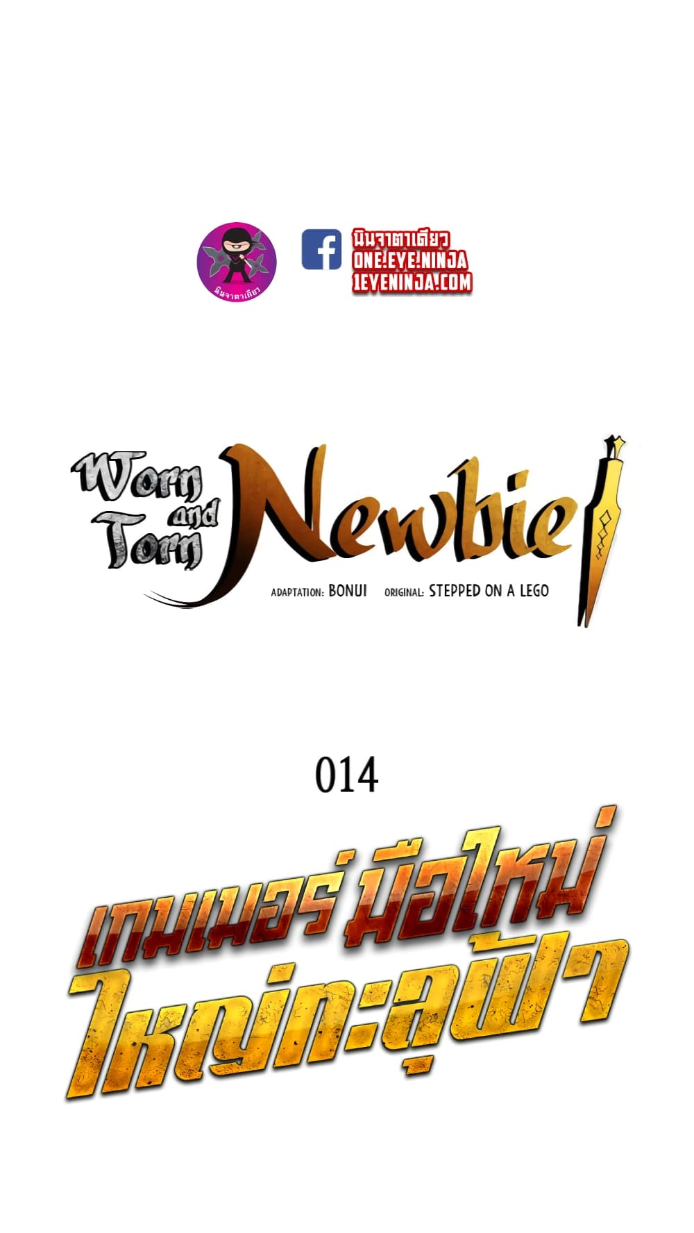 Worn and Torn Newbie 14-14
