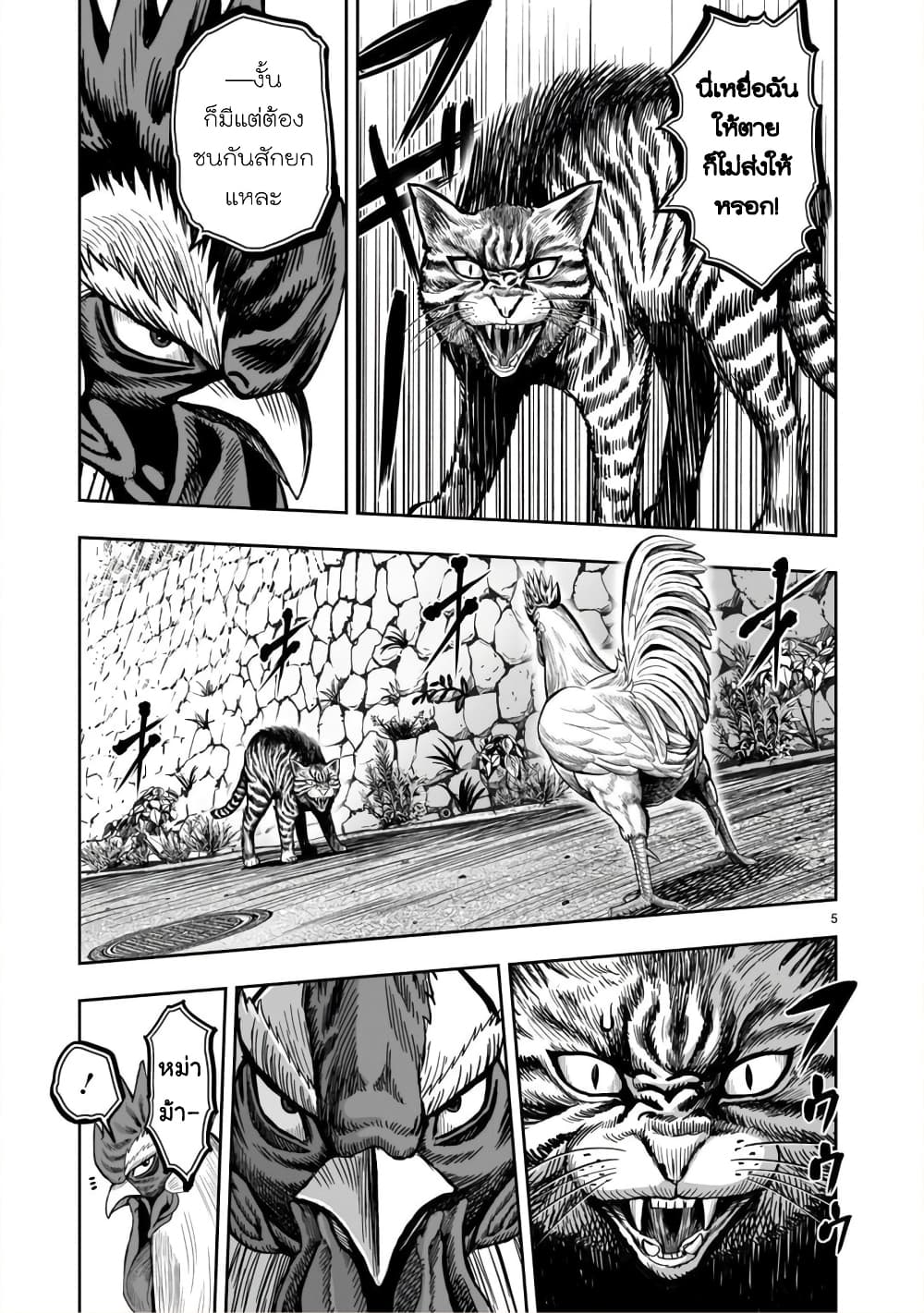 Rooster Fighter ป๋าโต้งชนยับ 9-หายใจดั่งไก่ป่า จับจ้องดั่งไก่เลี้ยง (กินแค่เพื่ออยู่ไปวันๆ)