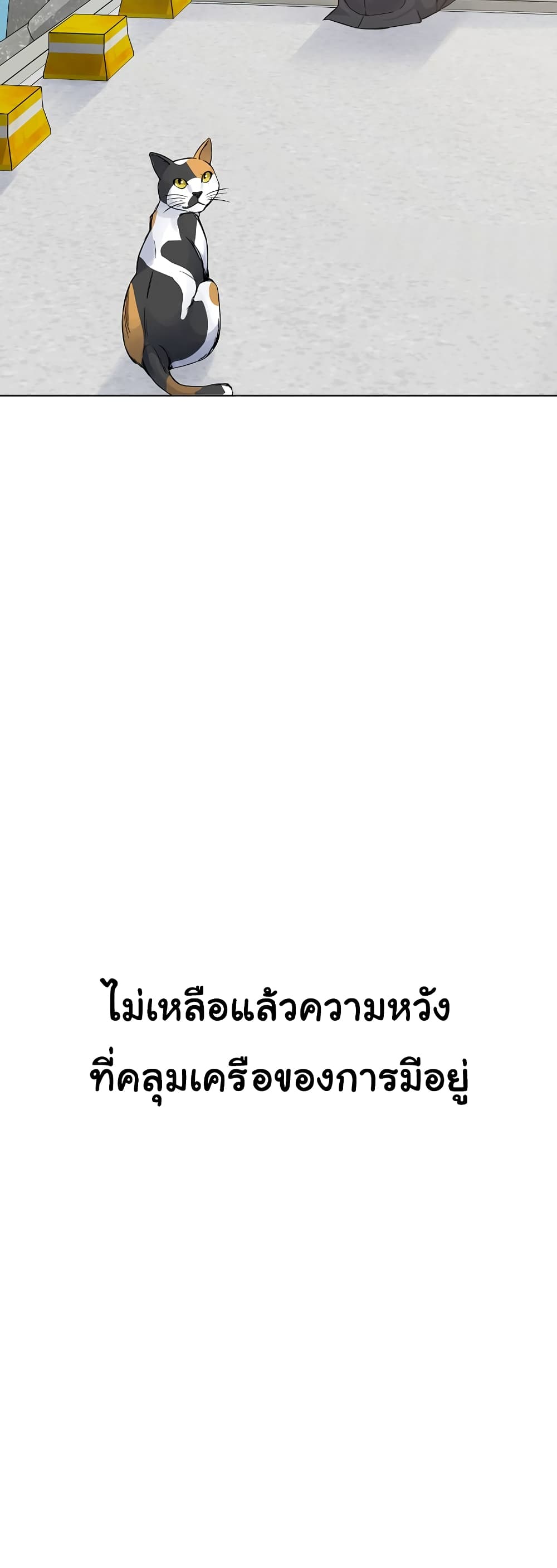Laugh 4-4