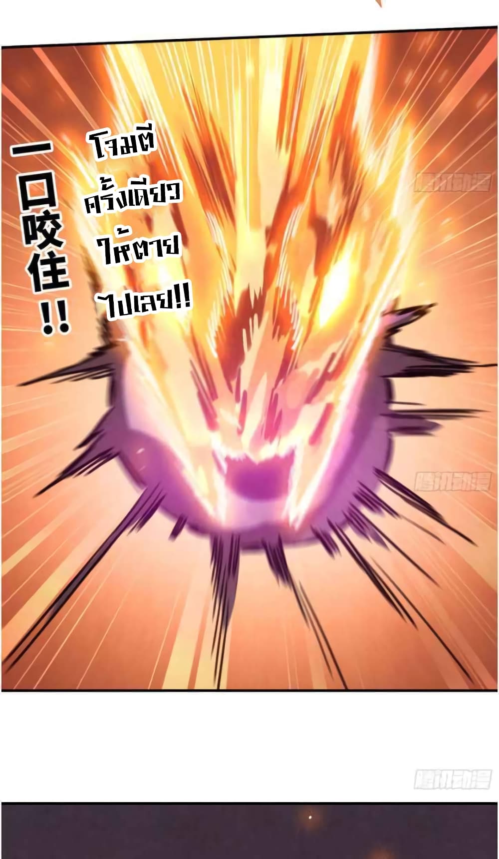 Mushroom Brave 0-0