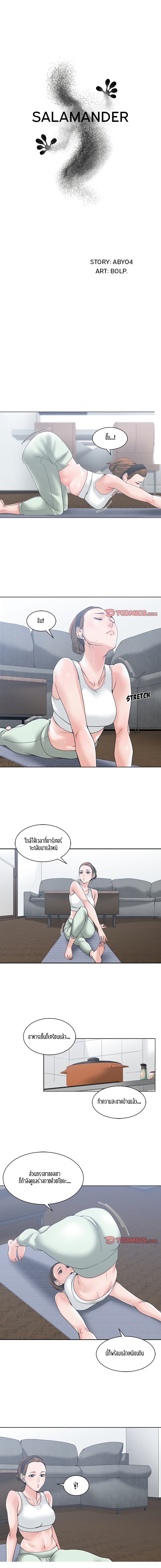 Salamander 5-5
