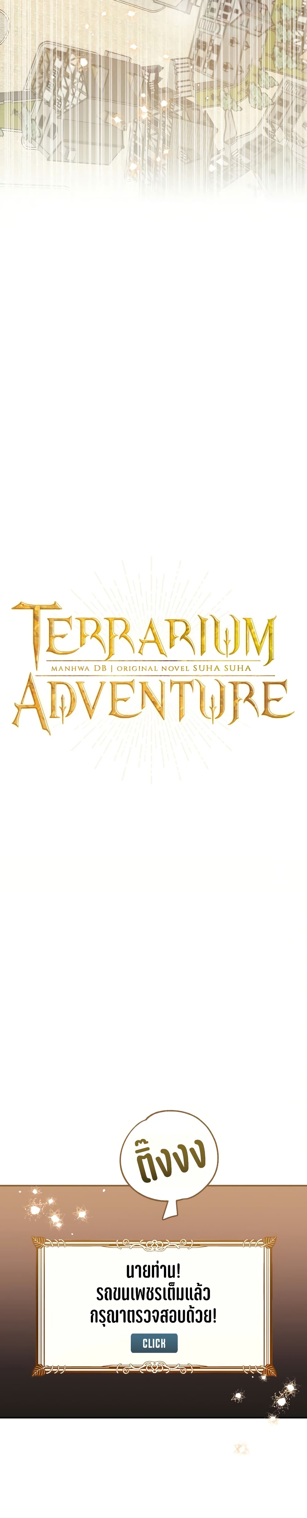 Terrarium Adventure 1-1