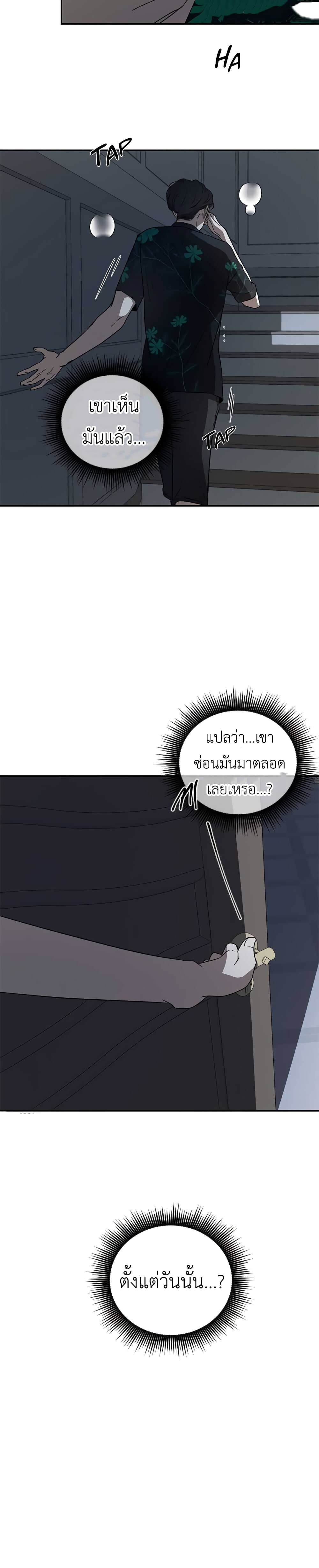 Olgami 31-31