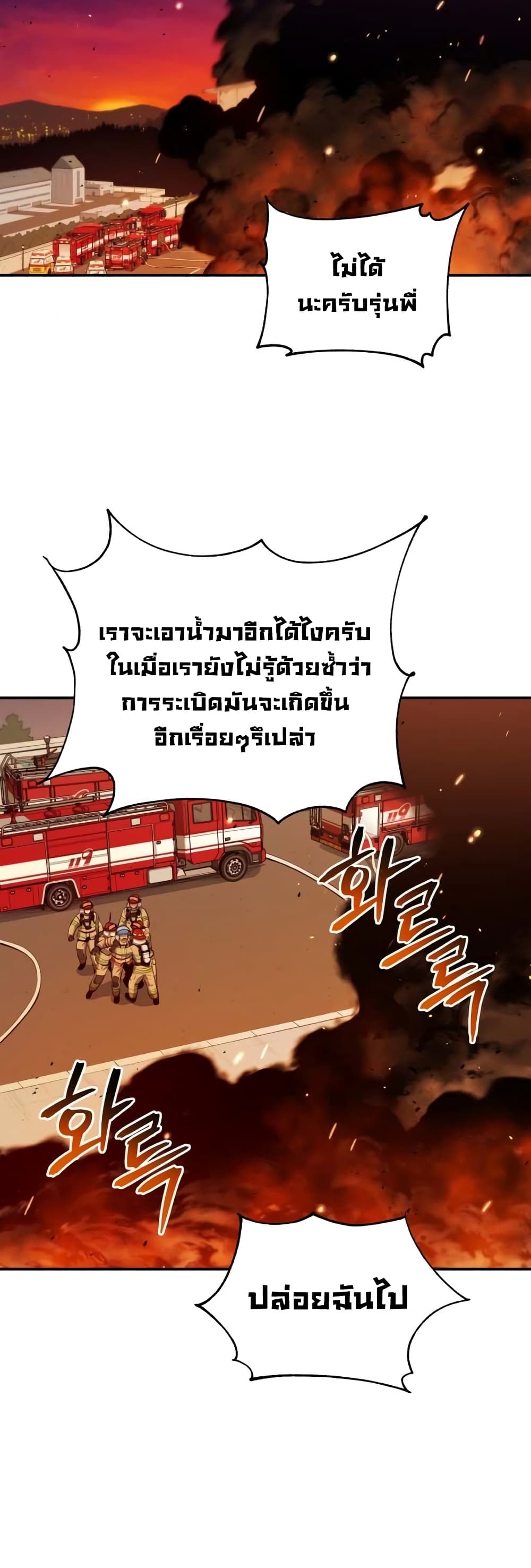 Rescue System 31-31