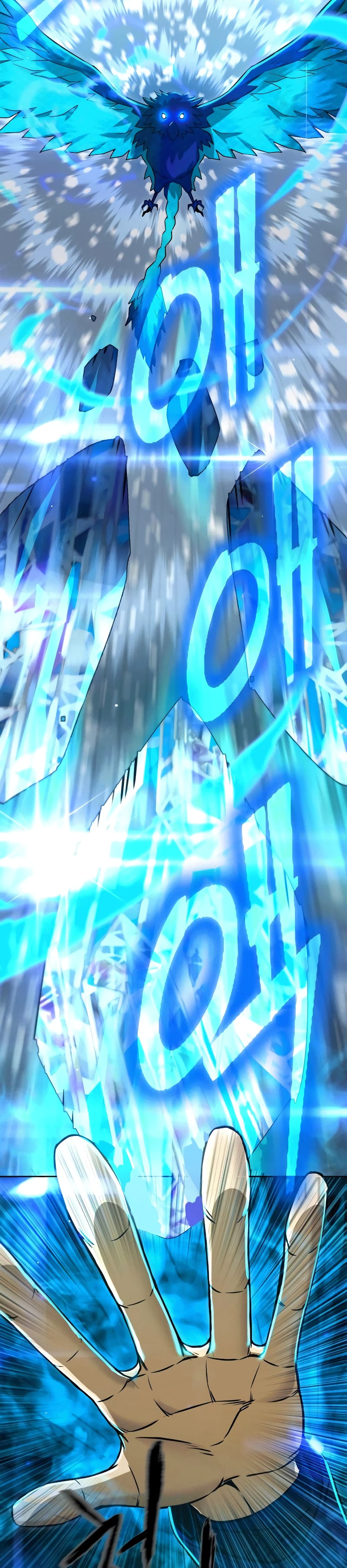 Maxed Out Leveling 50-50