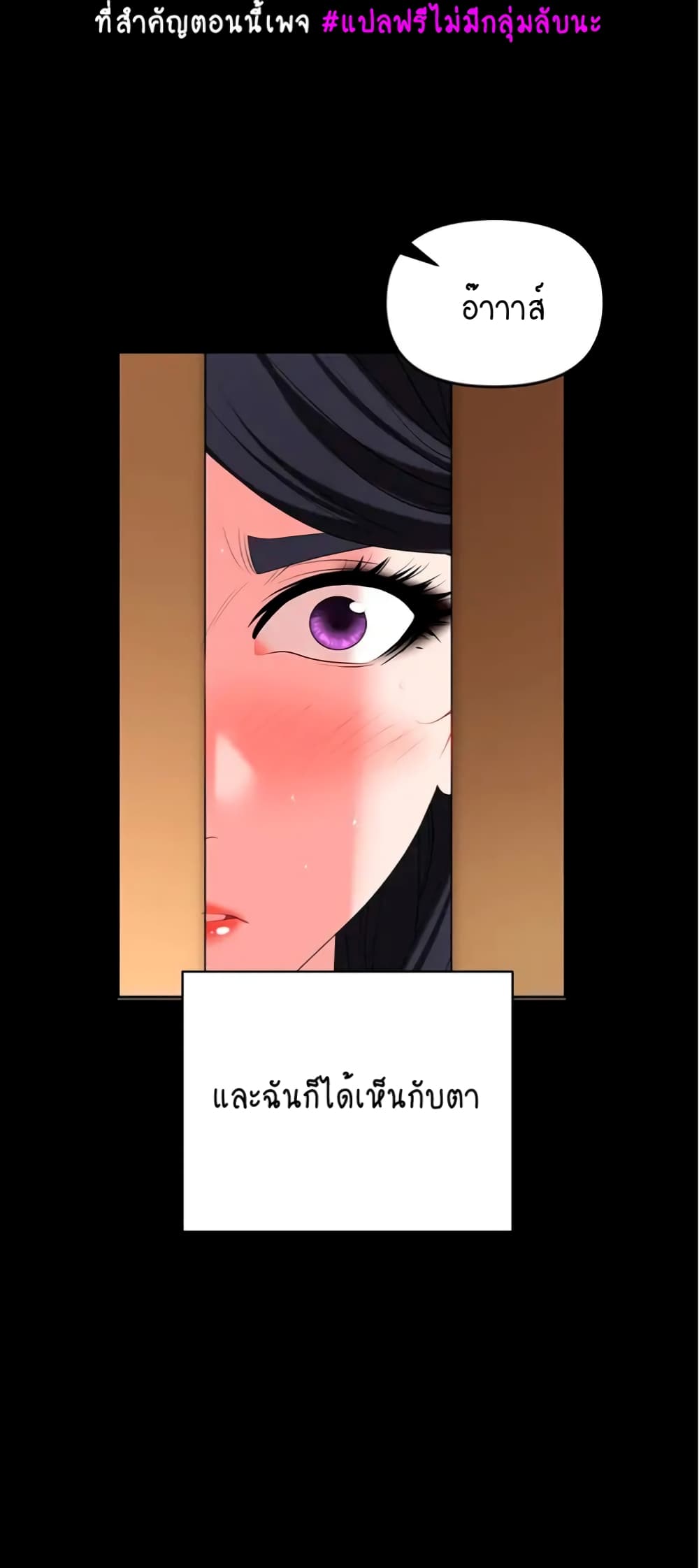 Trap 24-24