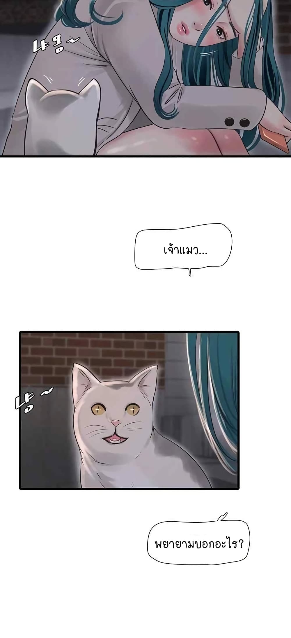 The Hole Diary 43-43
