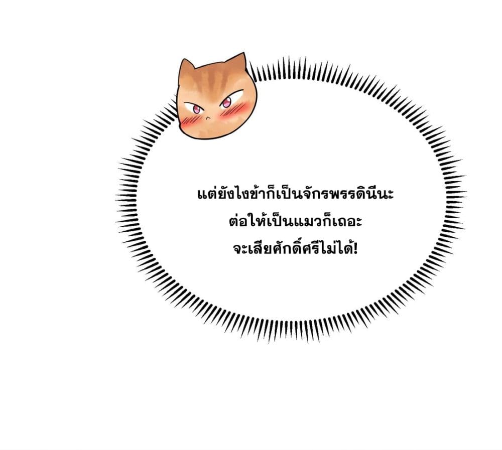 God-level Contract Start With a Cat 12-12
