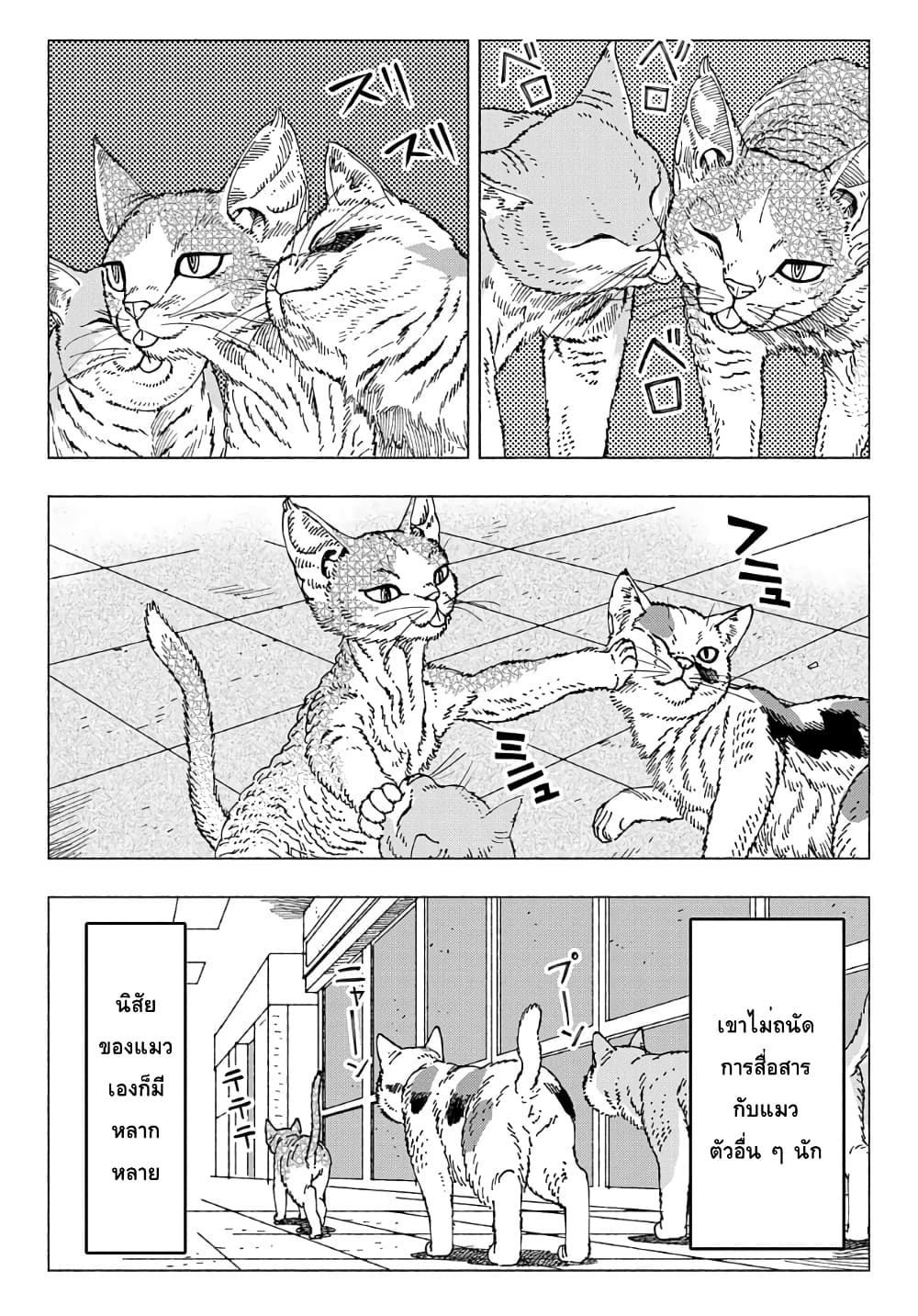 Nyaight of the Living Cat ซอมบี้เหมียวครองโลก! 9.1-แมว D-rex จากดาวเคราะห์