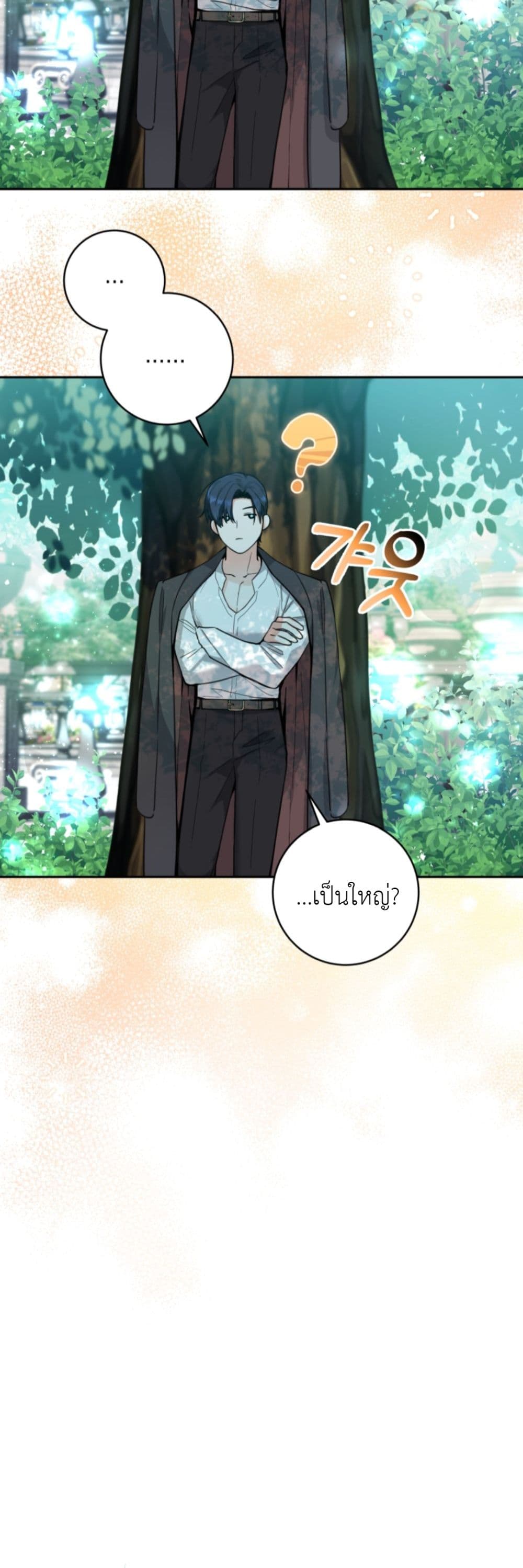 Black Killer Whale Baby 3-3