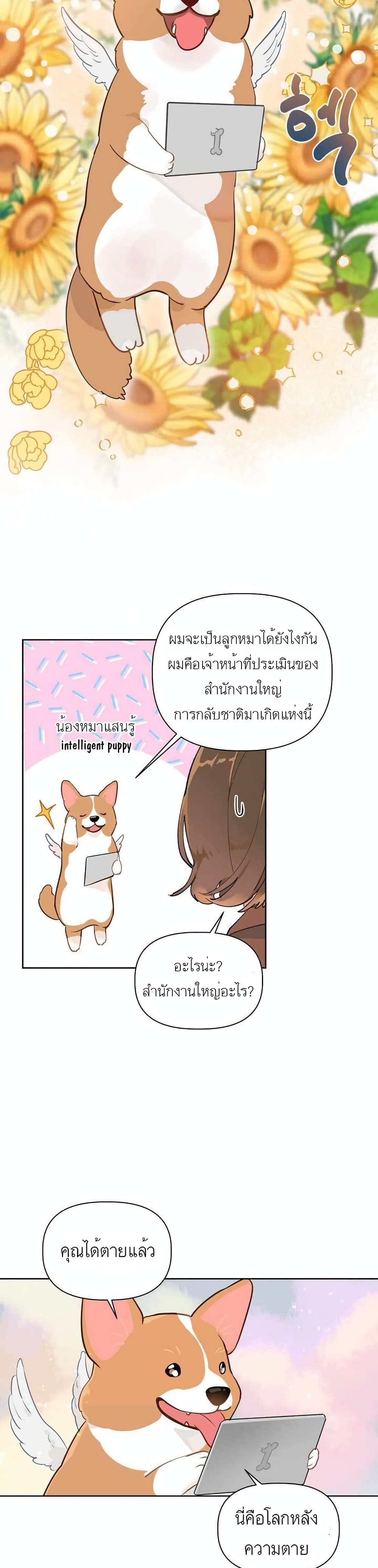 A Transmigrator's Privilege 1-1