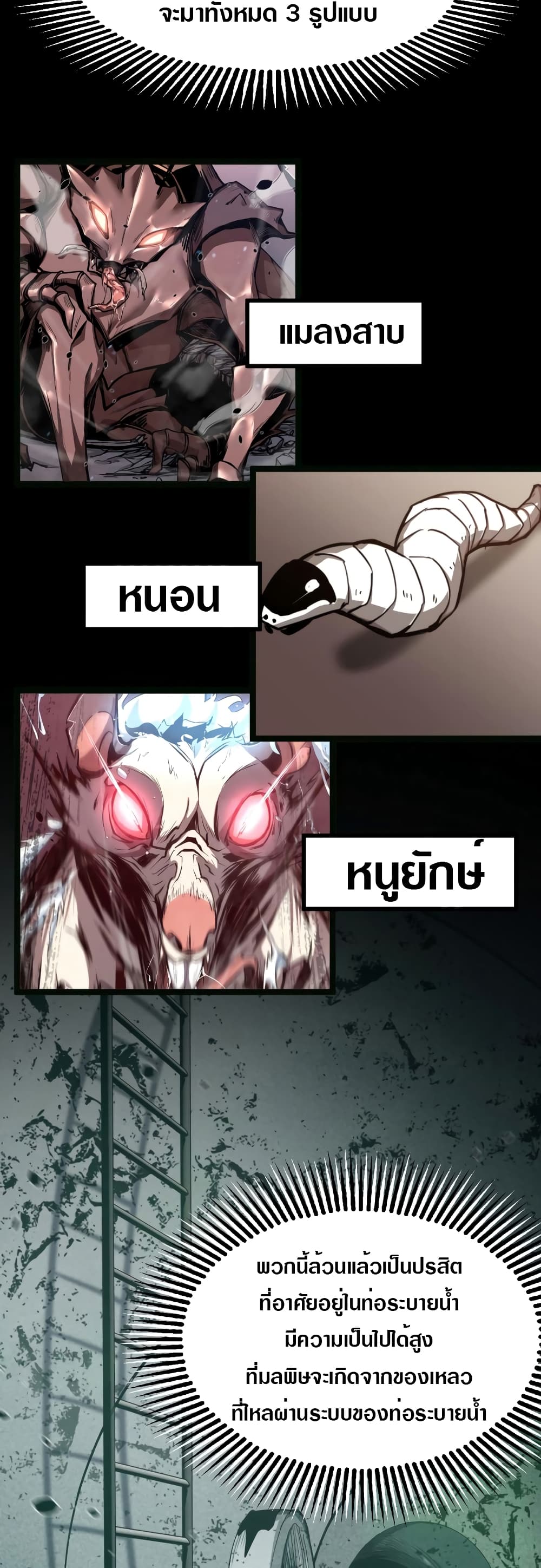 Super Evolution 5-5