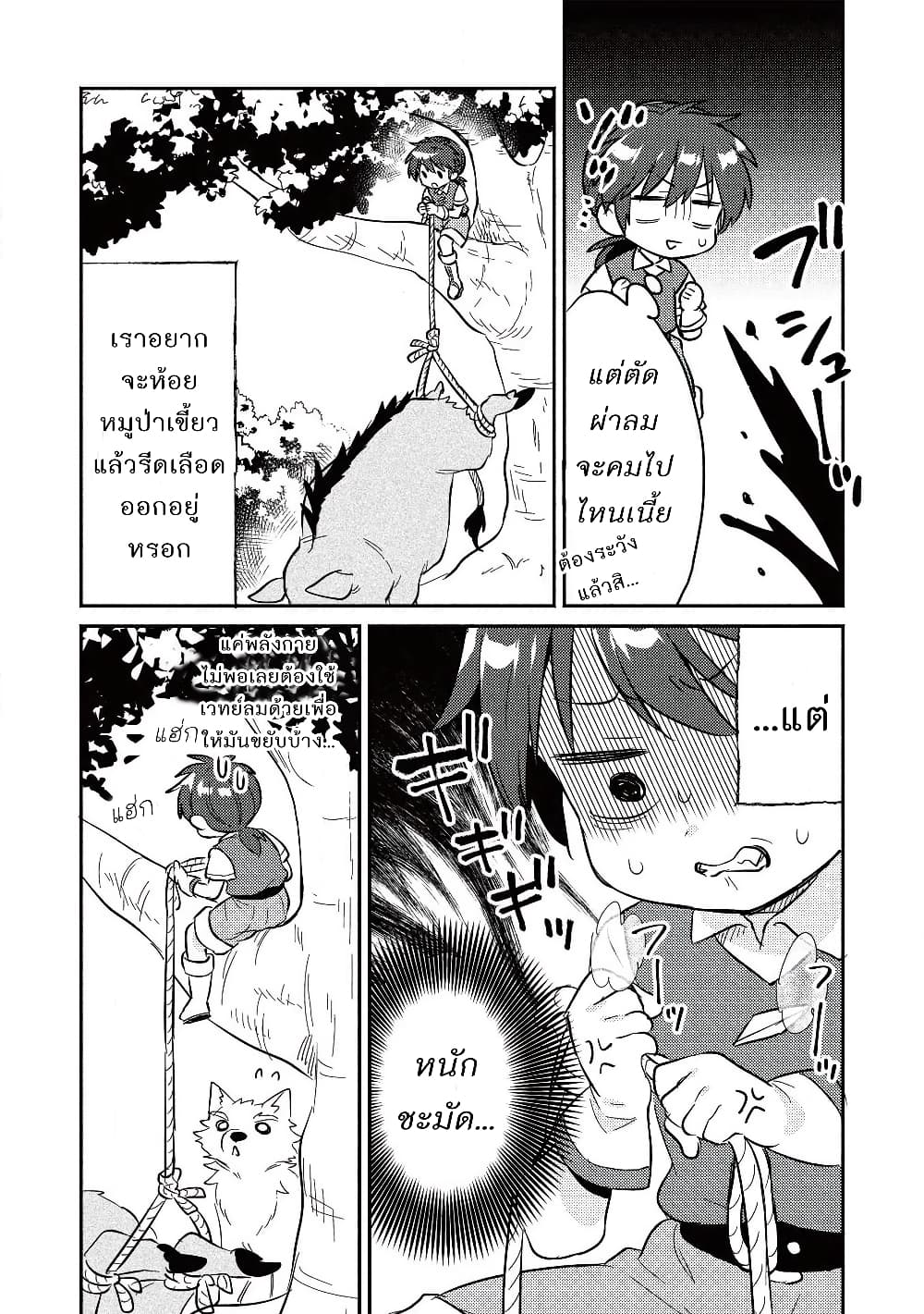 Kojiin Tamer 13-13