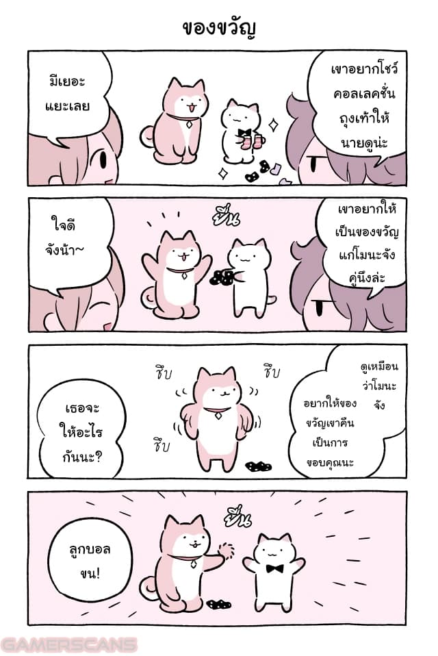 Wonder Cat Kyuu-chan คิวจัง แมวมหัศจรรย์ 48-48